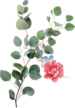 元気になって帰れるサロン　L'espace Rapport